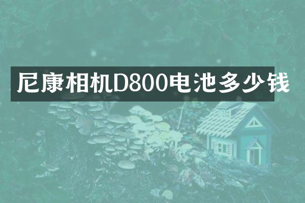 尼康相机D800电池多少钱
