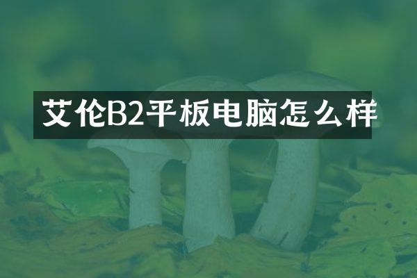 艾伦B2平板电脑怎么样