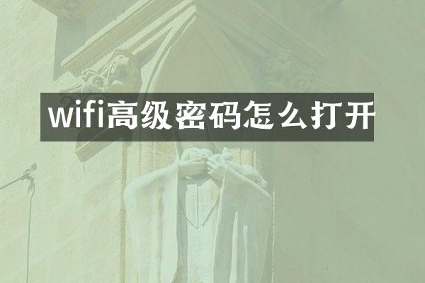 wifi高级密码怎么打开