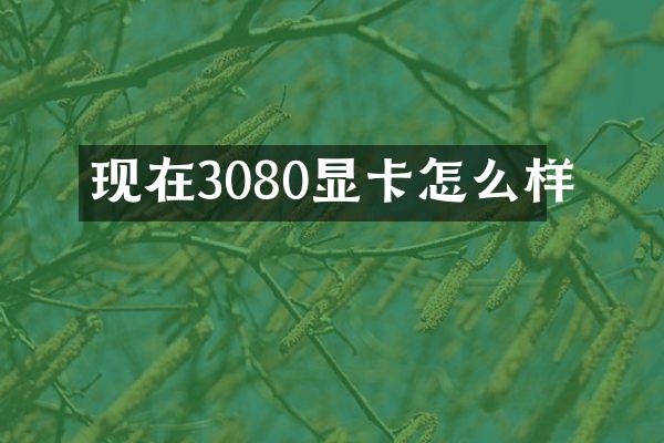 现在3080显卡怎么样