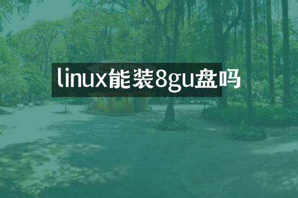 linux能装8gu盘吗