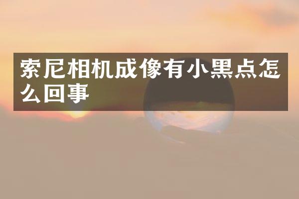 索尼相机成像有小黑点怎么回事