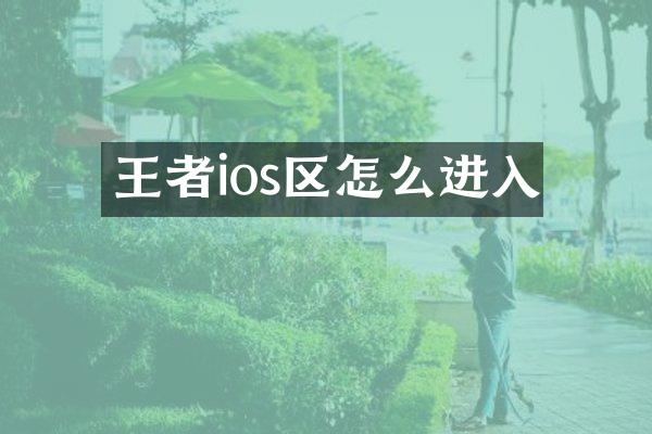 王者ios区怎么进入