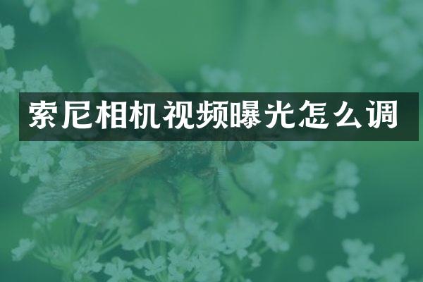 索尼相机视频曝光怎么调