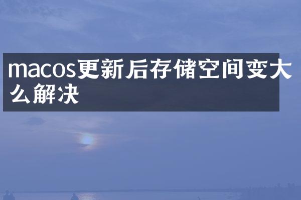 macos更新后存储空间变大怎么解决