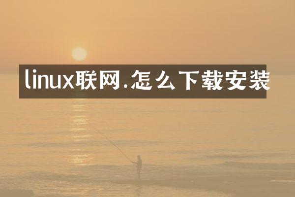 linux联网.怎么下载安装