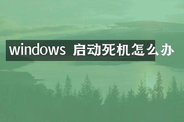 windows 启动死机怎么办