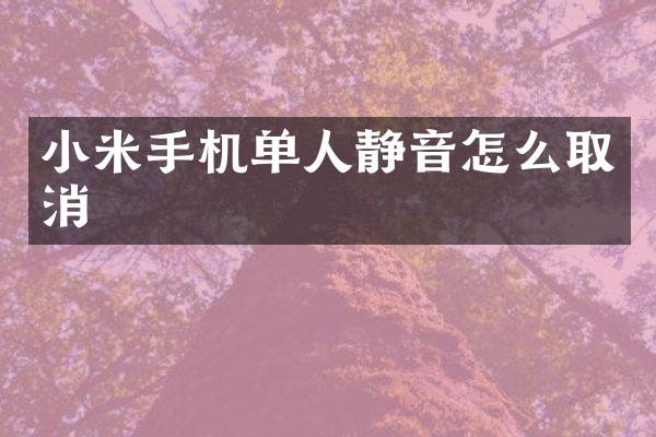 小米手机单人静音怎么取消