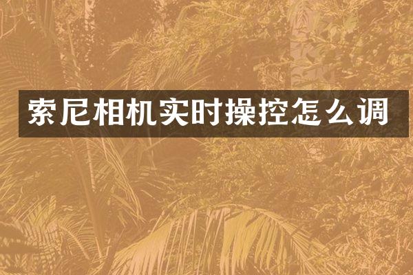 索尼相机实时操控怎么调