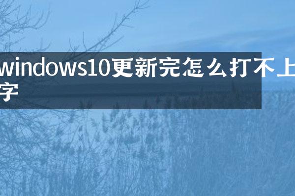 windows10更新完怎么打不上字