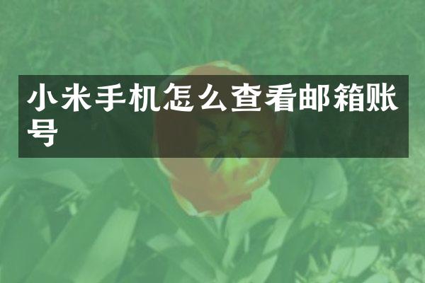 小米手机怎么查看邮箱账号