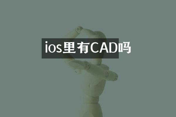 ios里有CAD吗