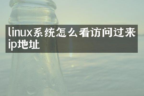 linux系统怎么看访问过来的ip地址