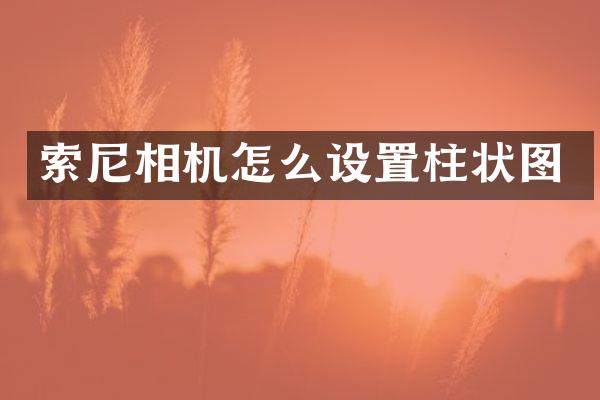 索尼相机怎么设置柱状图
