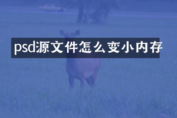 psd源文件怎么变小内存