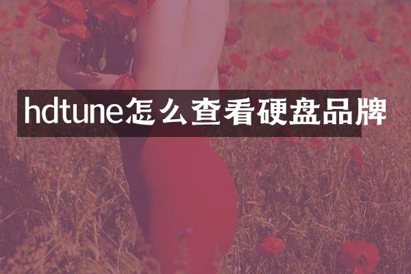hdtune怎么查看硬盘品牌