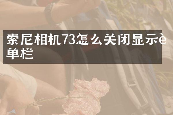 索尼相机73怎么关闭显示菜单栏