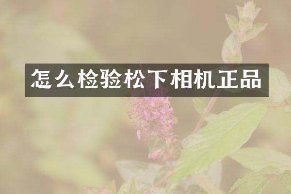 怎么检验相机正品