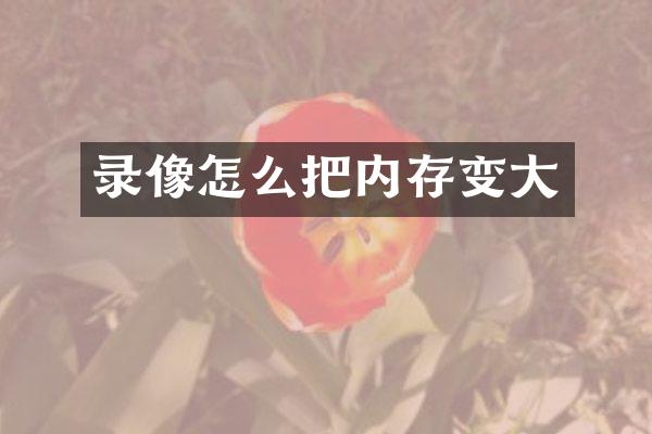 录像怎么把内存变大
