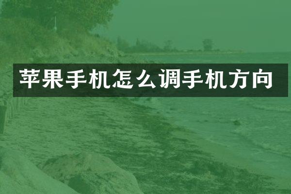 苹果手机怎么调手机方向