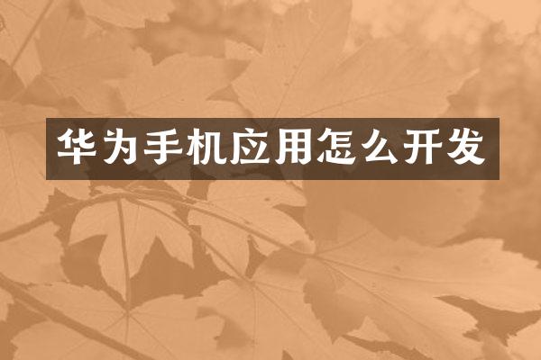 华为手机应用怎么开发
