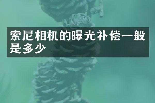 索尼相机的曝光补偿一般是多少