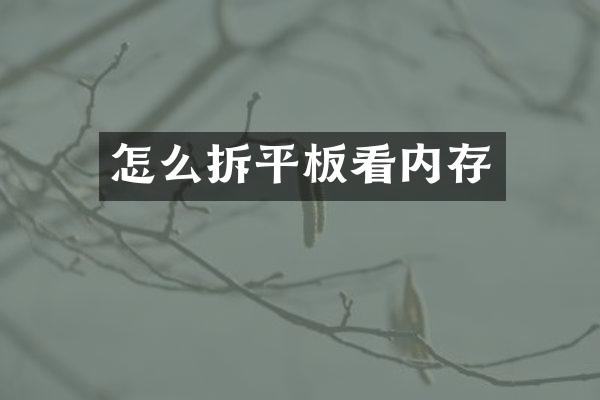 怎么拆平板看内存