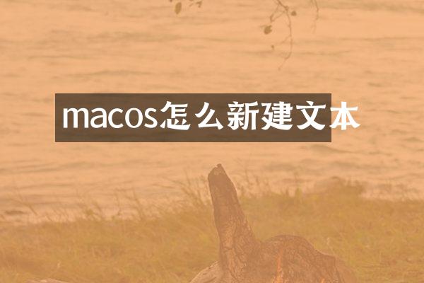 macos怎么新建文本