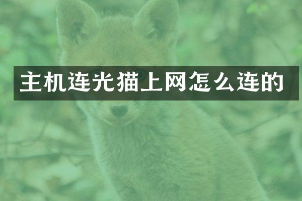 主机连光猫上网怎么连的