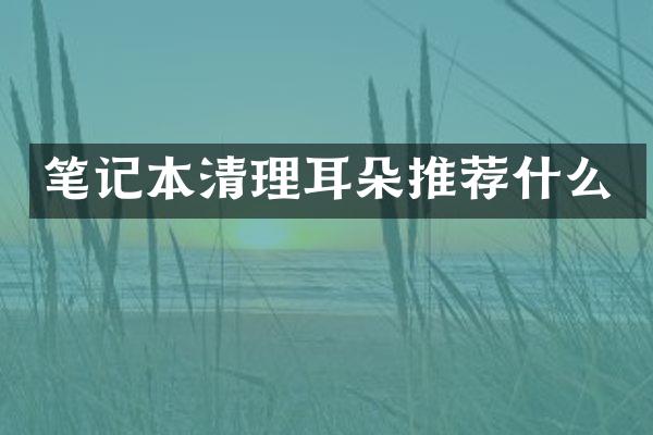 笔记本清理耳朵推荐什么