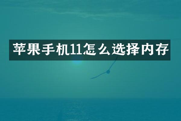 苹果手机11怎么选择内存