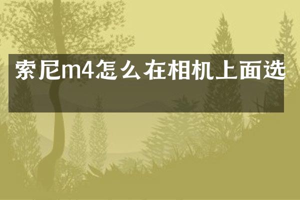 索尼m4怎么在相机上面选片