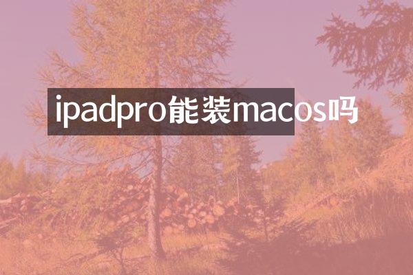 ipadpro能装macos吗
