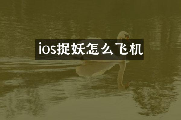 ios捉妖怎么飞机