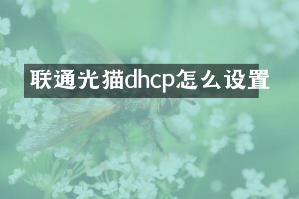 联通光猫dhcp怎么设置