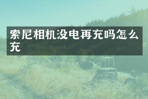 索尼相机没电再充吗怎么充