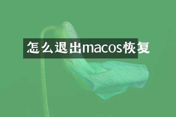 怎么退出macos恢复