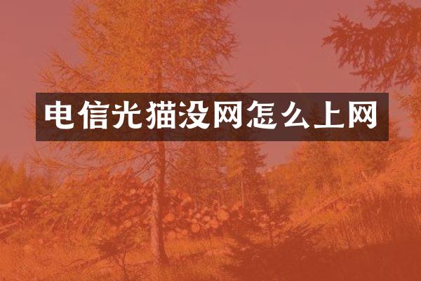 电信光猫没网怎么上网