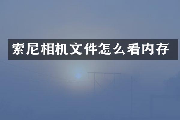 索尼相机文件怎么看内存