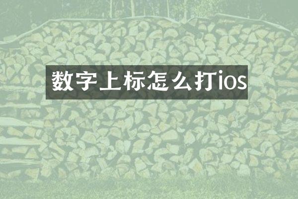 数字上标怎么打ios