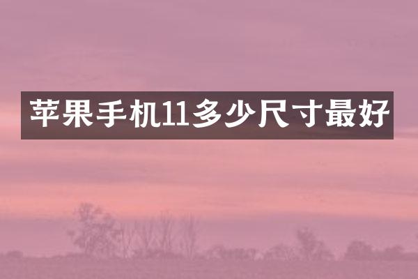 苹果手机11多少尺寸最好