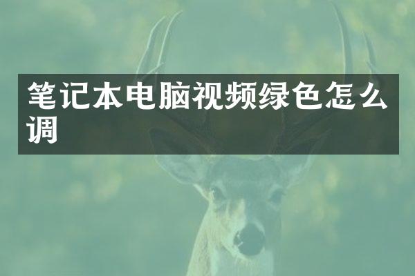 笔记本电脑视频绿色怎么调