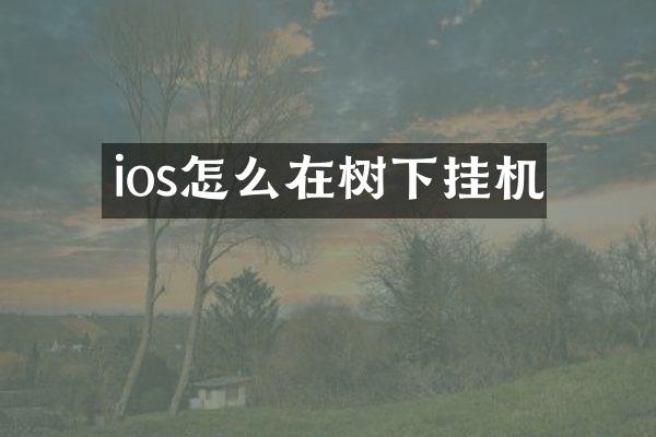 ios怎么在树下挂机