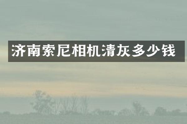 济南索尼相机清灰多少钱