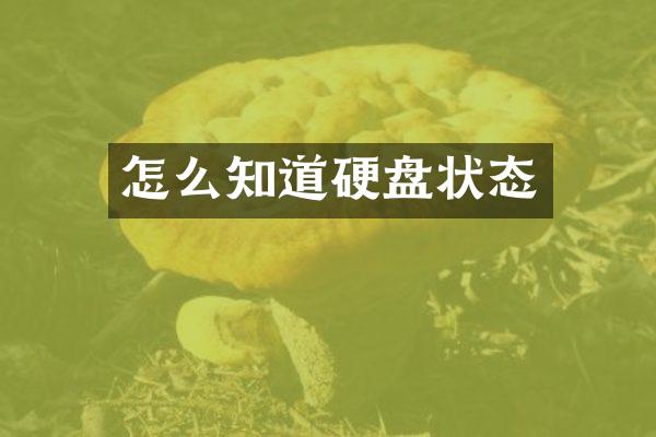 怎么知道硬盘状态