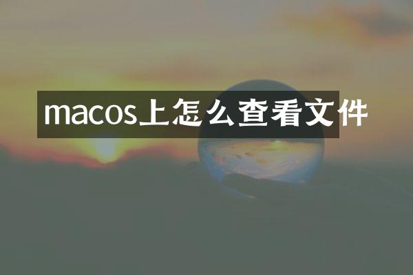 macos上怎么查看文件