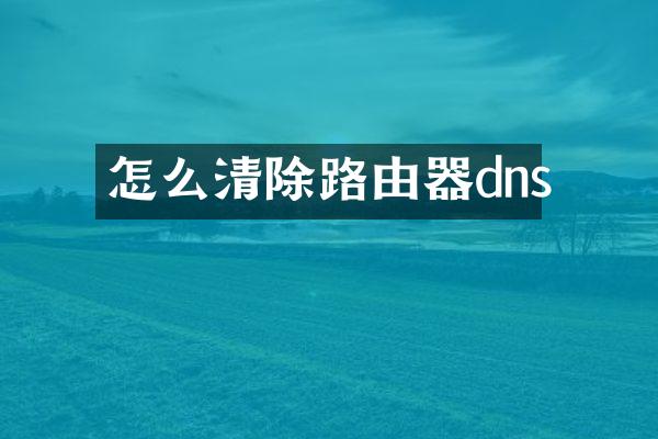 怎么清除路由器dns