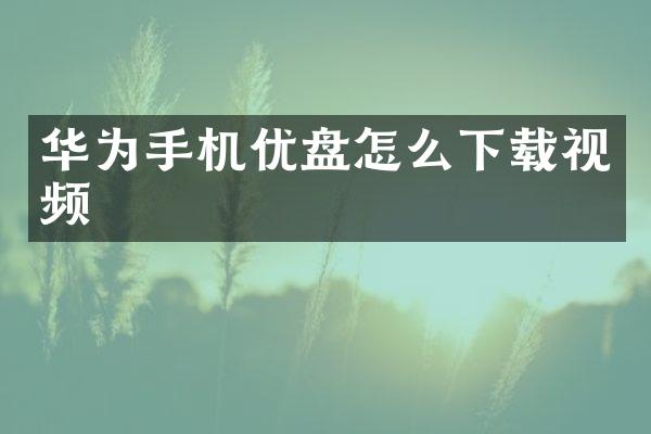 华为手机优盘怎么下载视频