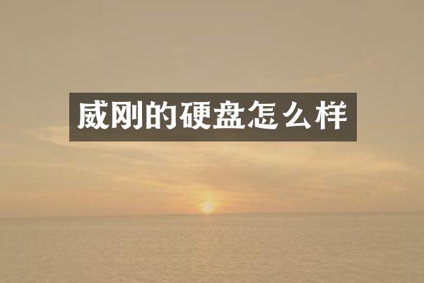 威刚的硬盘怎么样