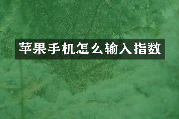 苹果手机怎么输入指数
